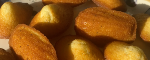 Madeleines